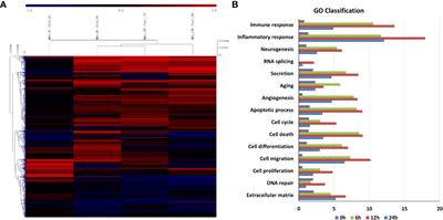 Mycobacterium avium Modulates the Protective Immune Response in Canine Peripheral Blood Mononuclear Cells